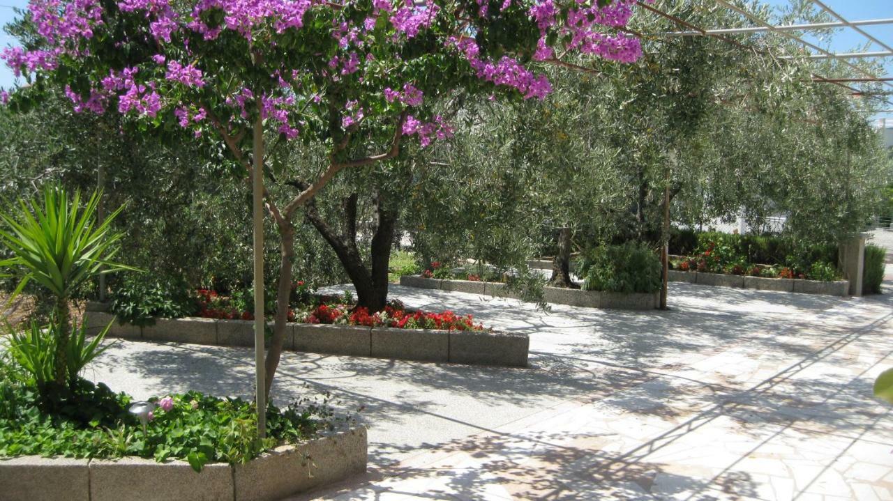 Apartments Maslina Trogir Zewnętrze zdjęcie