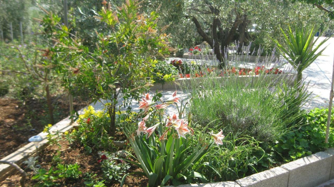 Apartments Maslina Trogir Zewnętrze zdjęcie