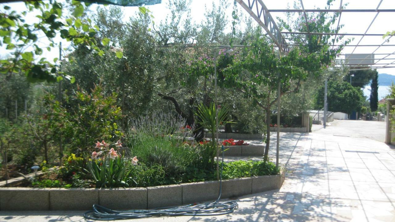 Apartments Maslina Trogir Zewnętrze zdjęcie