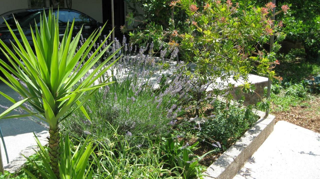 Apartments Maslina Trogir Zewnętrze zdjęcie